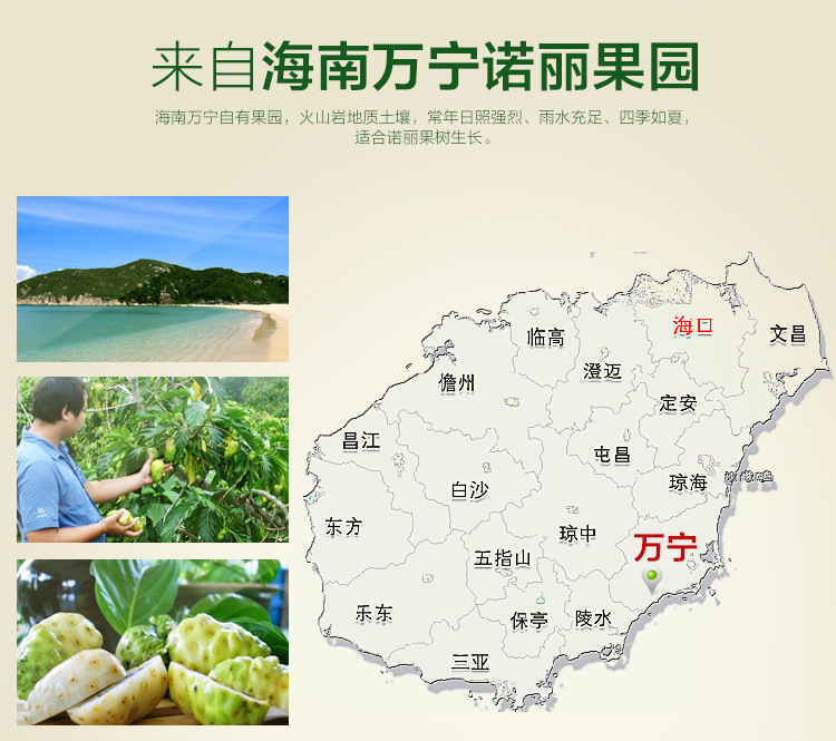 諾麗酵素果汁原漿生產(chǎn)廠家諾麗果汁原料供應O
